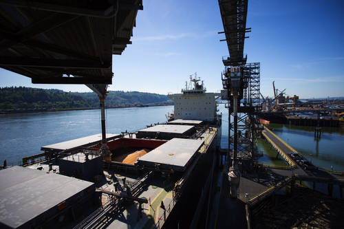 FAO/WHO – Codex Alimentarius (HACCP Guidelines)